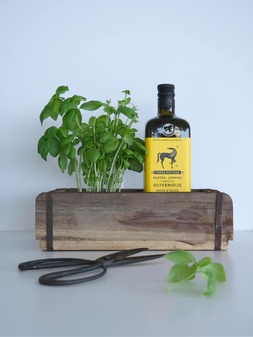 Flaske med tunetisk ekstra jomfru olivenolie placeret i en rustik trækasse fremstillet af genbrugstræ, sammen med frisk basilikum og en sort saks på en hvid baggrund.